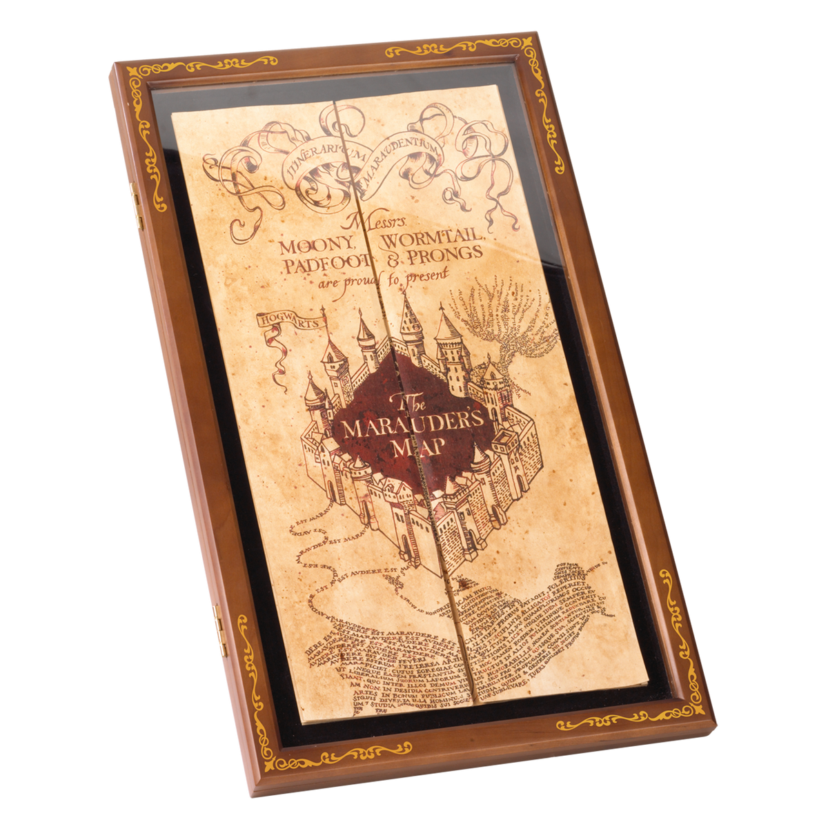 Marauder’s Map Display Case